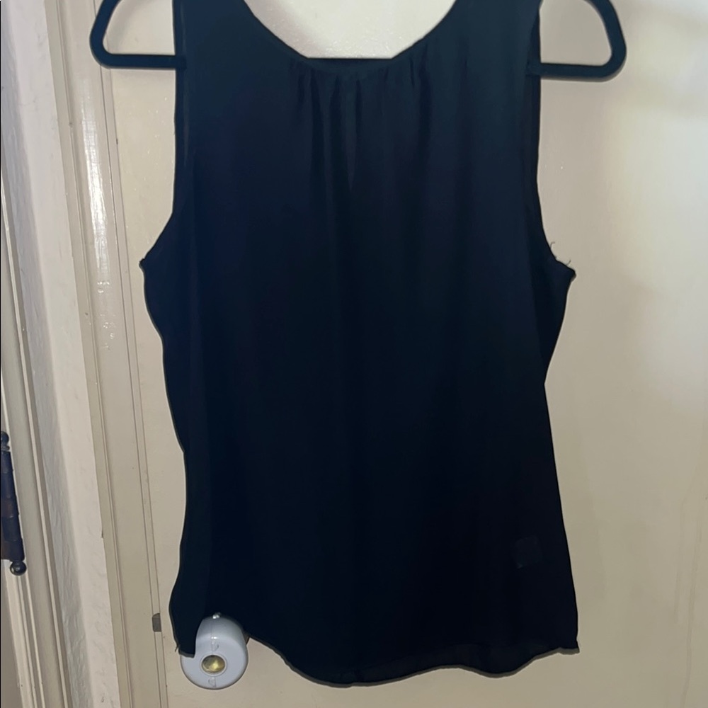 Elegant sheer Black Sleeveless Top